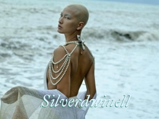 Silverdwinell