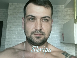 Skripa