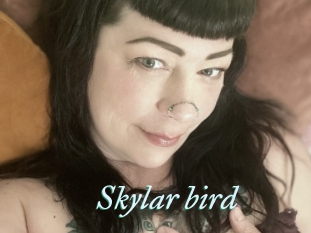 Skylar_bird