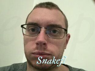 Snakefl