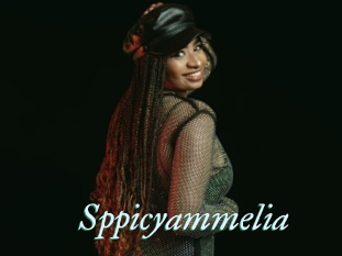 Sppicyammelia