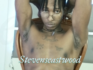 Stevenseastwood