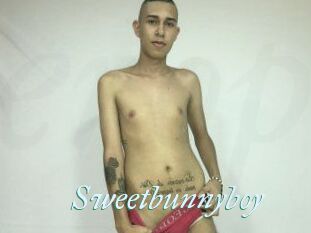Sweet_bunny_boy
