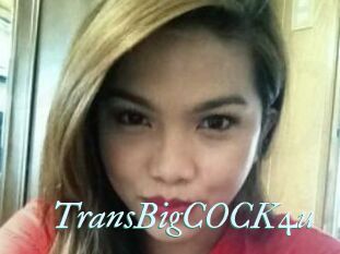 TransBigCOCK4u