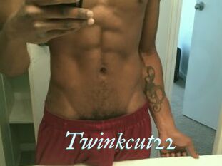 Twinkcut22