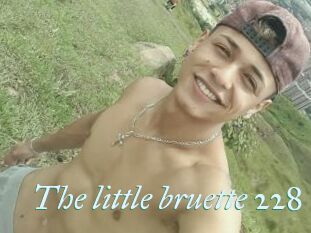 The_little_bruette_228
