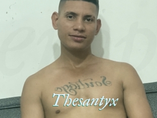 Thesantyx