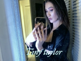 Tiny_taylor