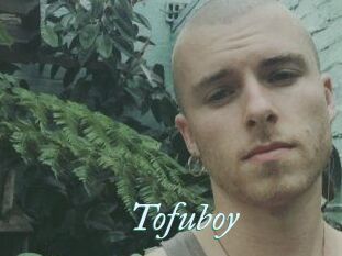 Tofu_boy