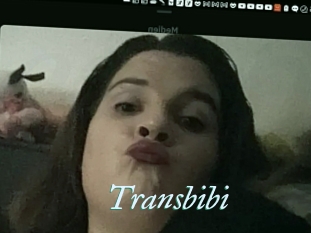 Transbibi