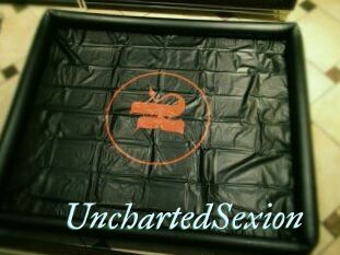 UnchartedSexion