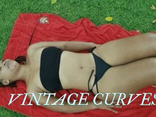 VINTAGE_CURVES