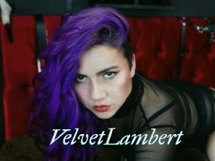 VelvetLambert