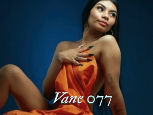 Vane_077