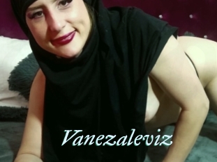 Vanezaleviz