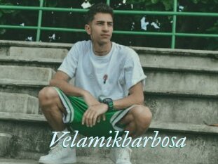 Velamikbarbosa