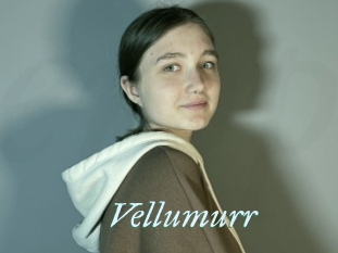 Vellumurr