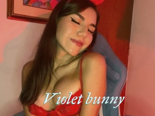 Violet_bunny