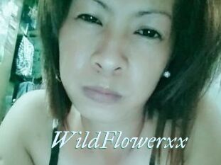 WildFlowerxx