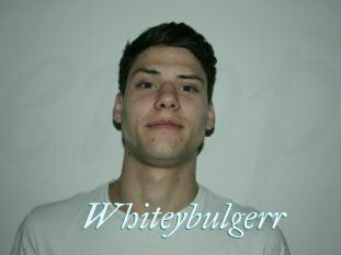 Whitey_bulgerr