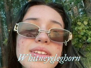 Whitneygleghorn