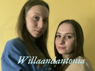 Willaandantonia