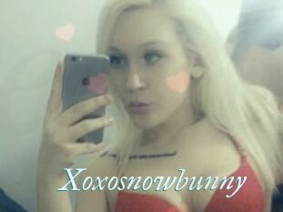 Xoxosnowbunny