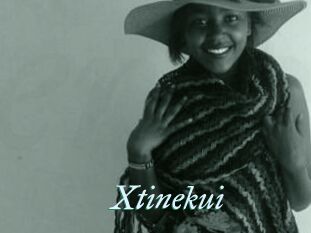 Xtinekui