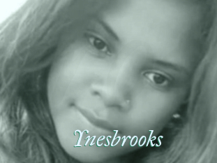 Ynesbrooks