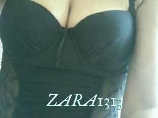 ZARA1313