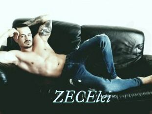 ZECElei