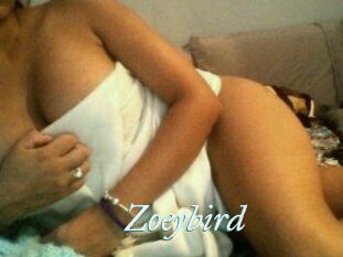 Zoeybird