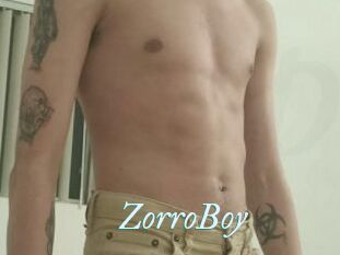 ZorroBoy