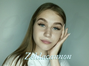 Zeldacannon