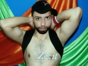 Zevit